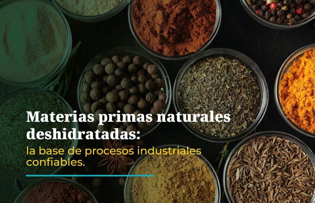 Materias primas naturales deshidratadas: la base de procesos industriales confiables