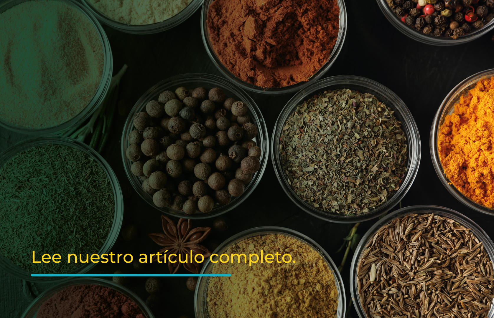 En este momento estás viendo Materias primas naturales deshidratadas: la base de procesos industriales confiables