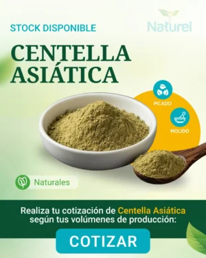 Centella Asiatica
