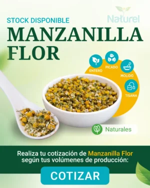 Manzanilla