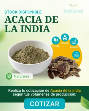 Acacia de la India