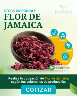 Flor de Jamaica Importada