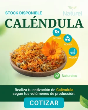 Calendula