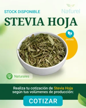 Stevia Hoja