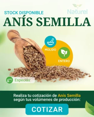 Anis Semilla