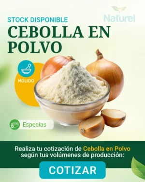 Cebolla