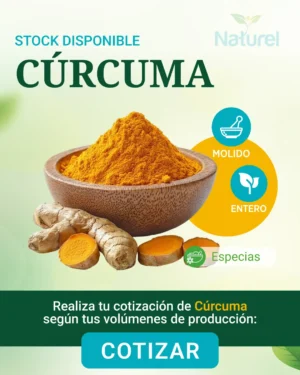 Curcuma