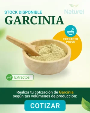 Garcinia