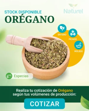 Oregano