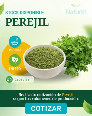 Perejil
