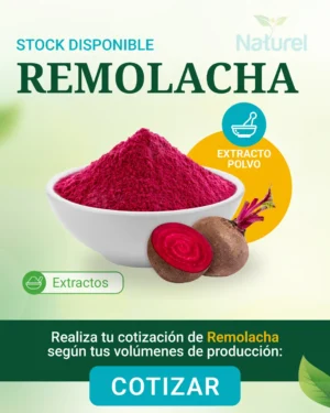 Remolacha