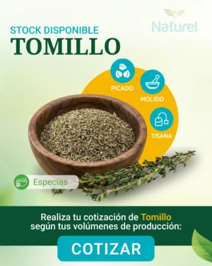 Tomillo