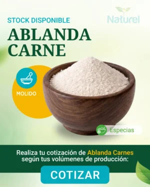 Ablanda Carne