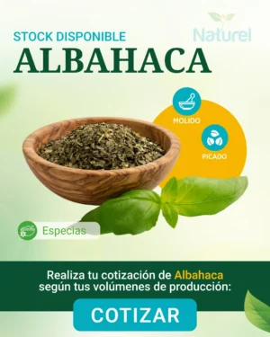 Albahaca