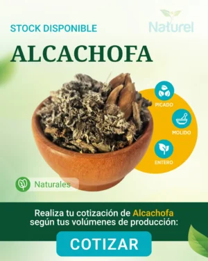 Alcachofa