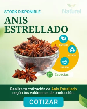Anis Estrellado