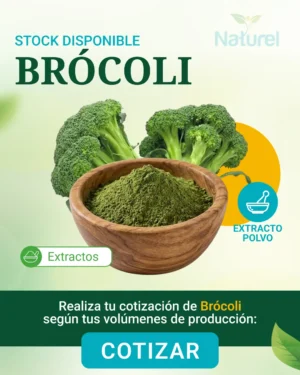 Brócoli