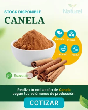 Canela