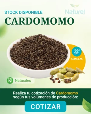 Cardamomo