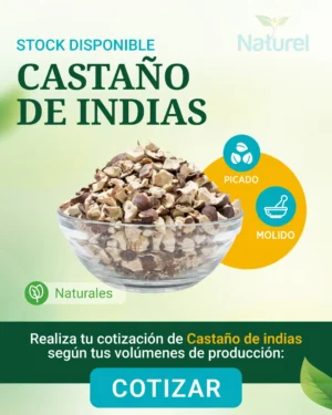 Castaño de Indias