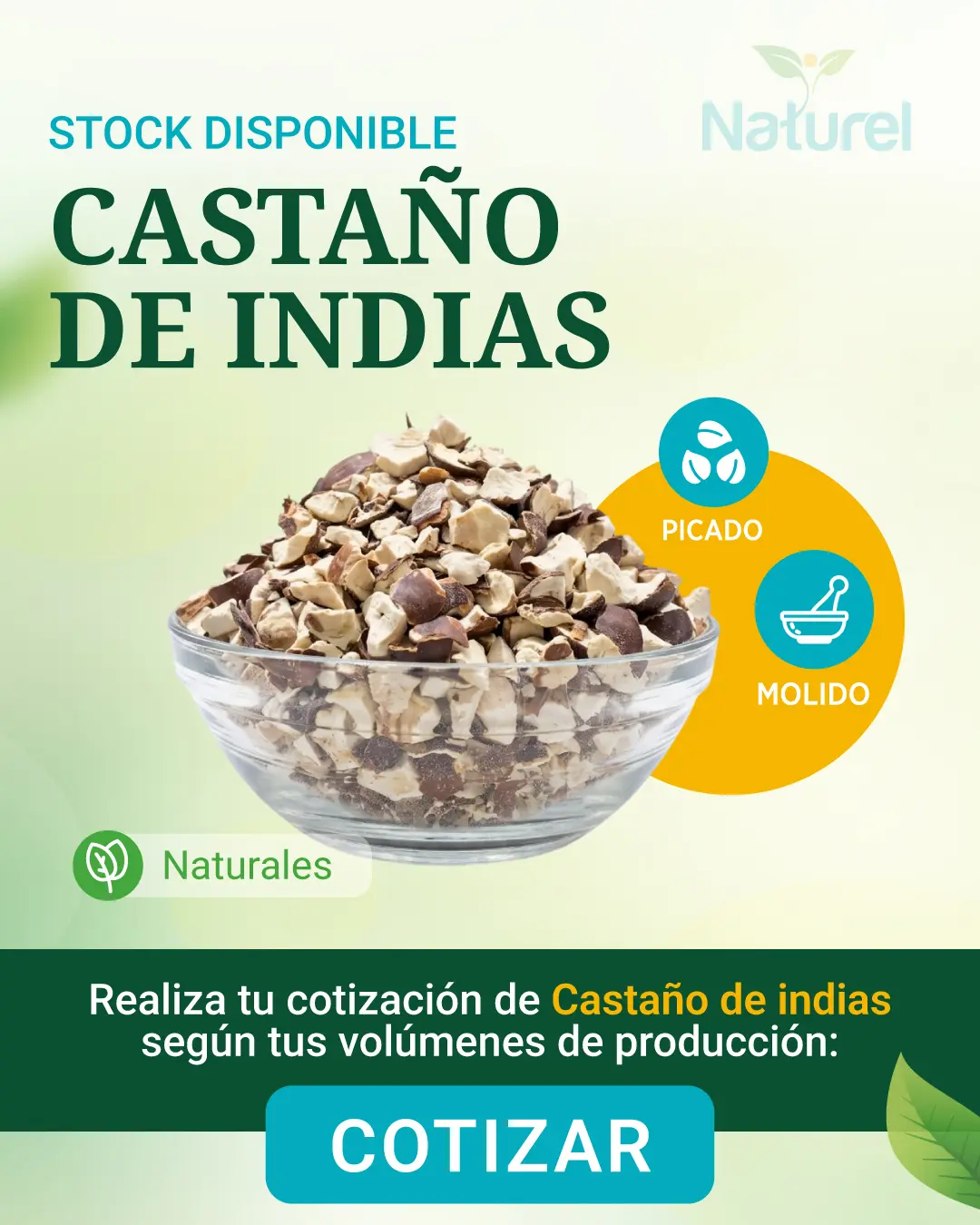 Castaño de Indias