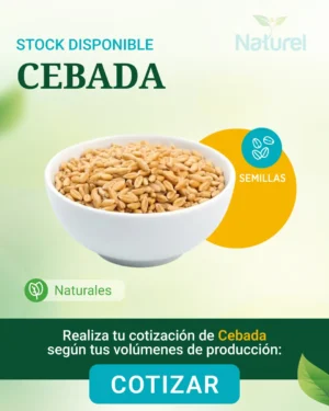 Cebada