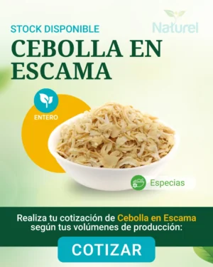 Cilantro Escamas