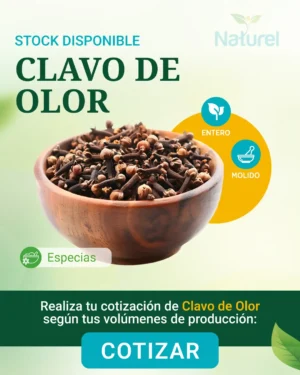 Clavo de Olor