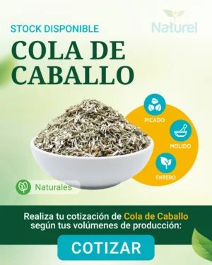 Cola de Caballo