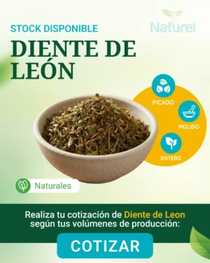 Diente Leon