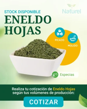 Eneldo Escamas