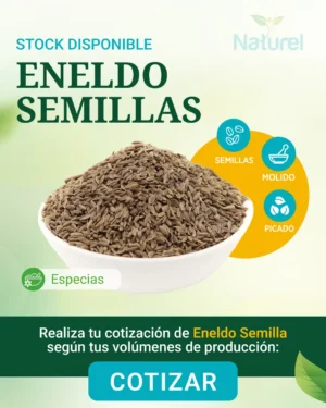 Eneldo Semilla