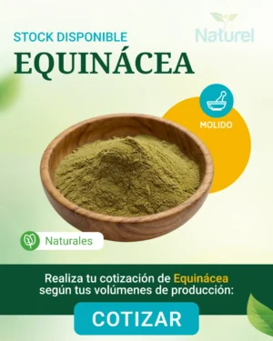 Equinacea