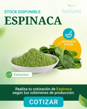 Espinaca