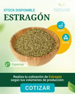 Estragon