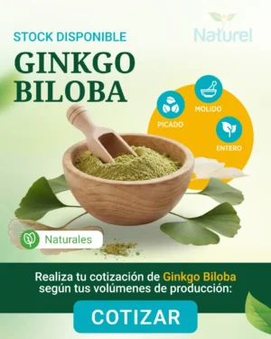Ginkgo Biloba