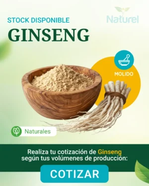 Ginseng