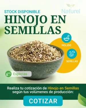 Hinojo