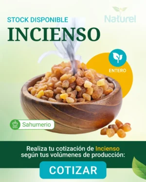 Incienso