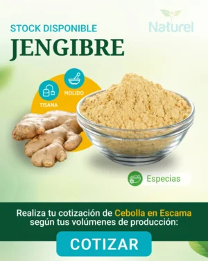 Jengibre Molido