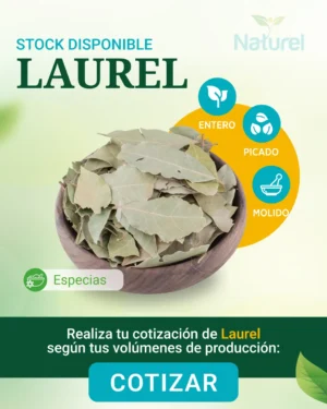 Laurel