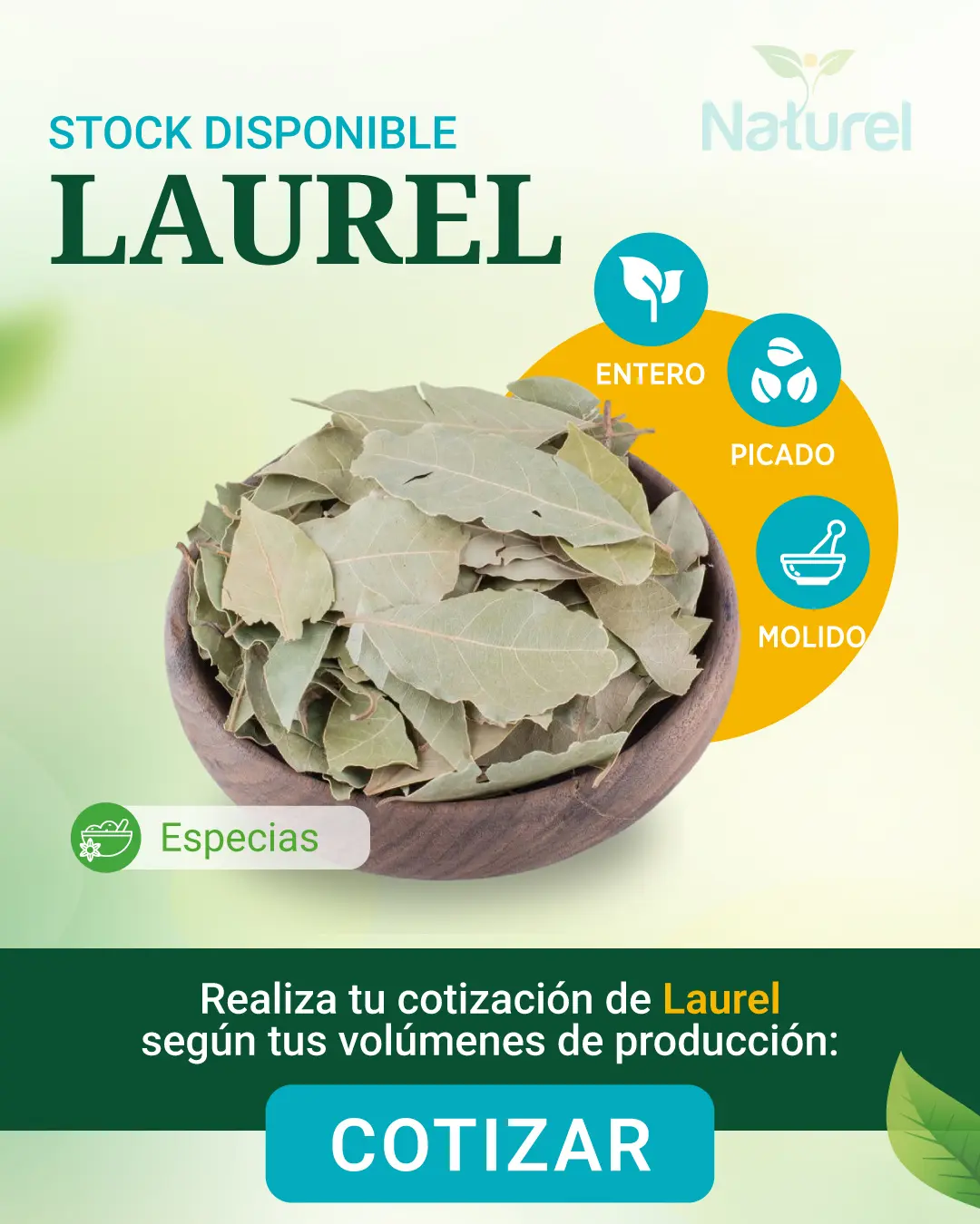 Laurel