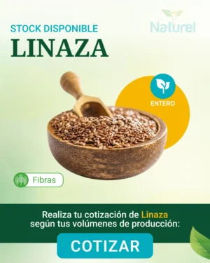 Linaza