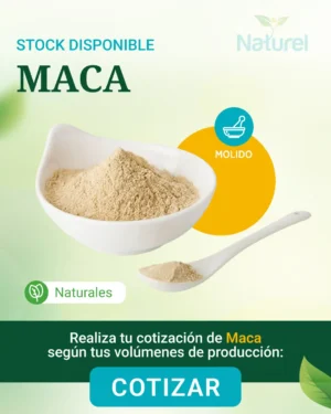 Maca