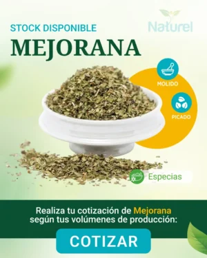 Mejorana