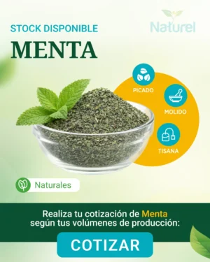 Menta
