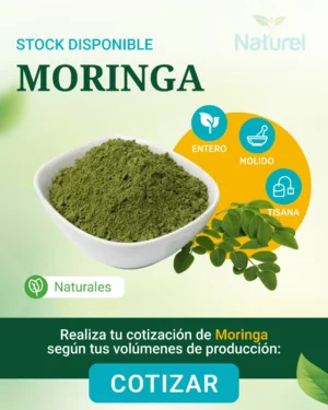 Moringa