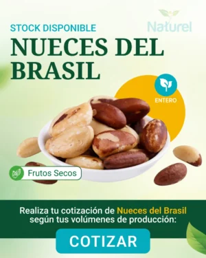 Nueces del Brasil