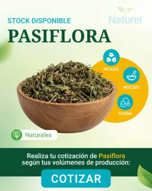 Pasiflora