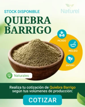 Quiebra Barrigo